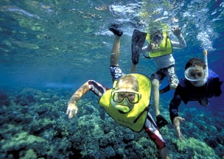 Expedicion de snorkel